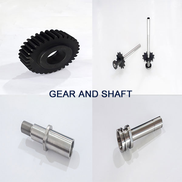 Gear & Shaft